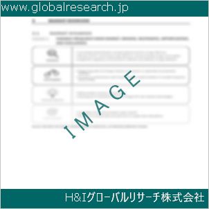 グローバルリサーチ調査資料のイメージ